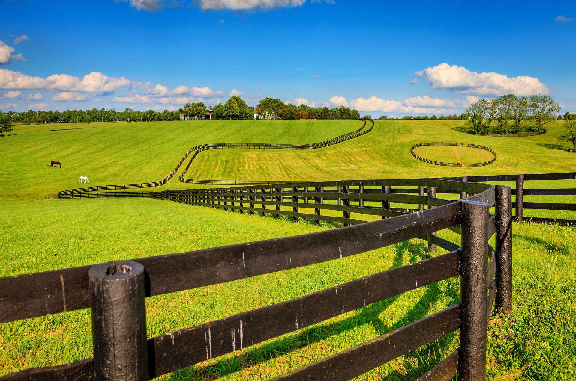 Photo of a pasture with long, meandering fences to containhorses