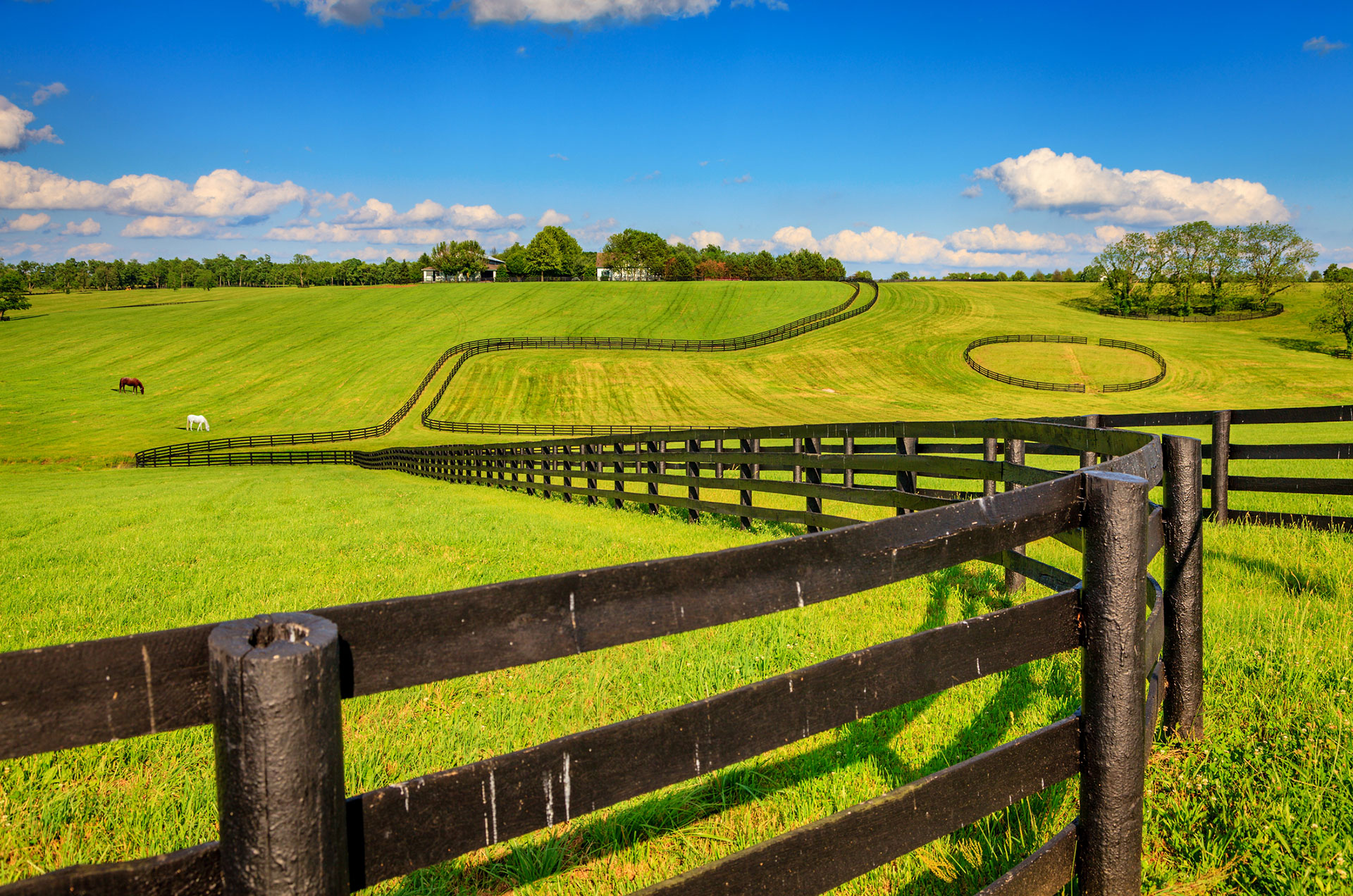 08db7051-736a-4153-9d5f-c74eba1dd708 Photo of a pasture with long, meandering fences to containhorses